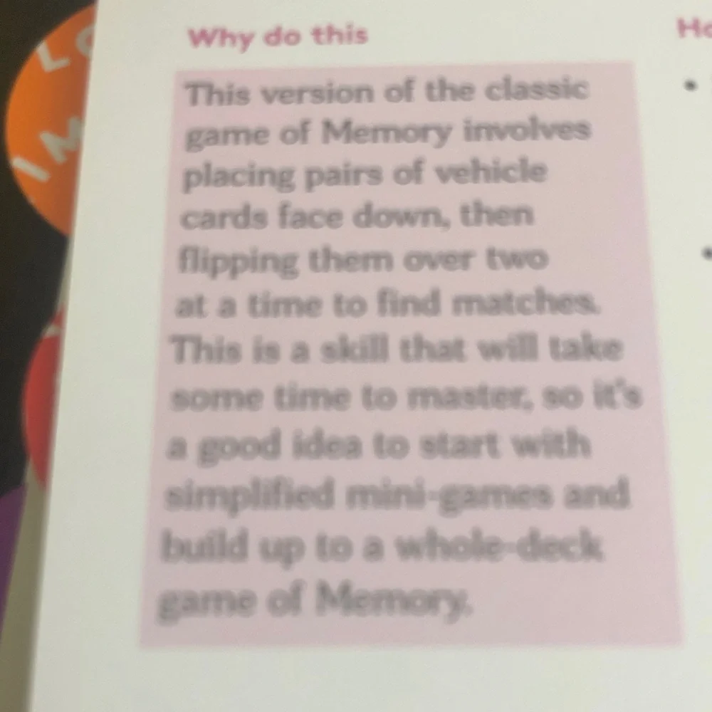 Memory game cards and  Investor Play Guide by Lovevery